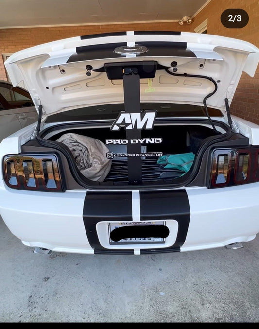 Custom trunk props - Martin Metalwork LLC 